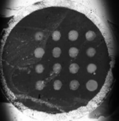 寡糖与蛋白质相互作用的SPRi成像