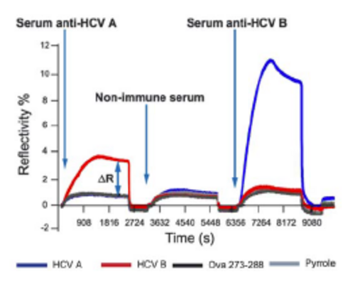 通过SPRi进行蛋白质-肽的相互作用钻研
