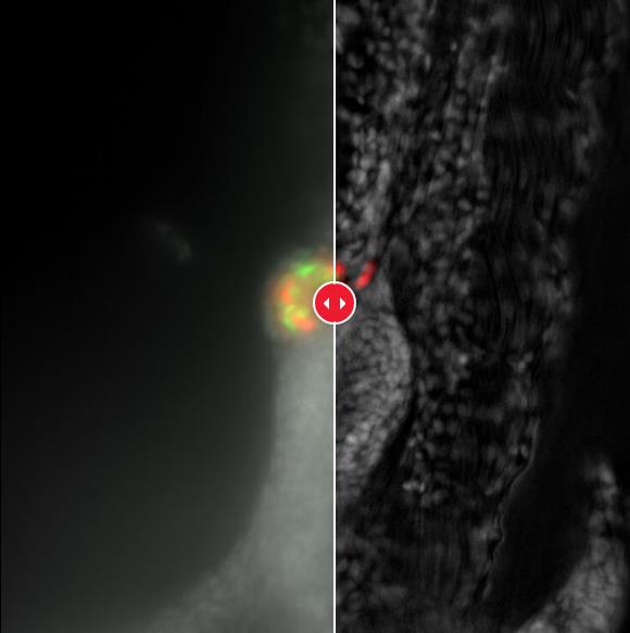 ����ͨ��ӫ����� 3.jpg