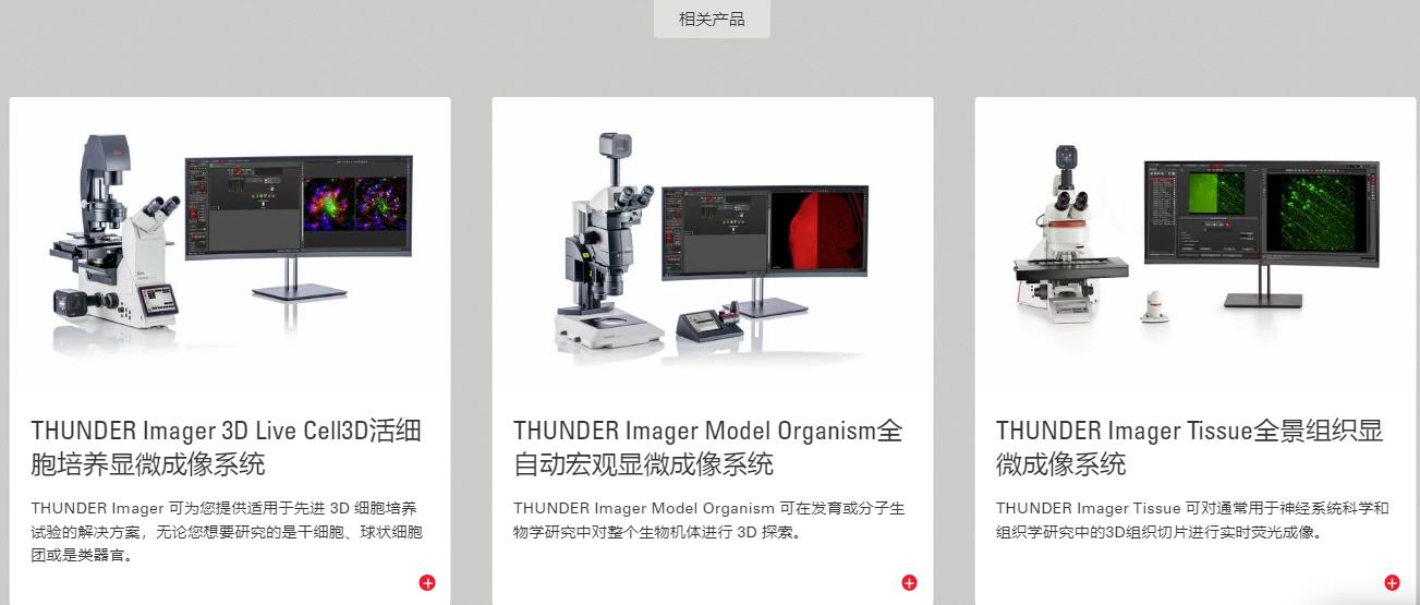 ����ͨ��ӫ����� 4.jpg