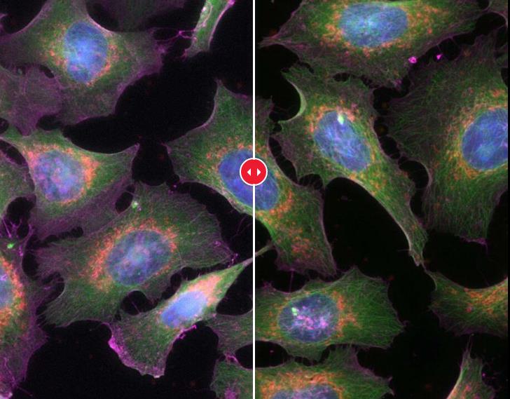 HAPPY8����8��(�й���½)�ֻ�APP