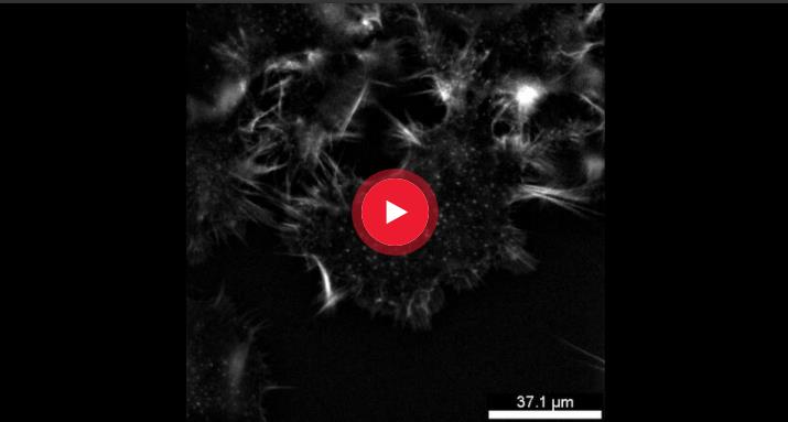 HAPPY8����8��(�й���½)�ֻ�APP