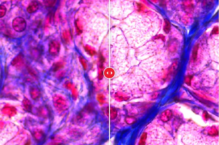 ��΢������ͷϵ�� K3C & K3M  4.jpg