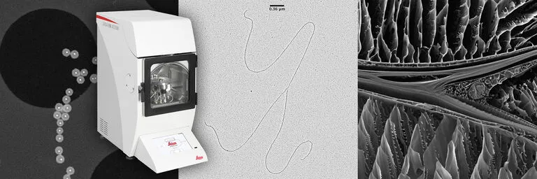 EM ACE600 图像大赛