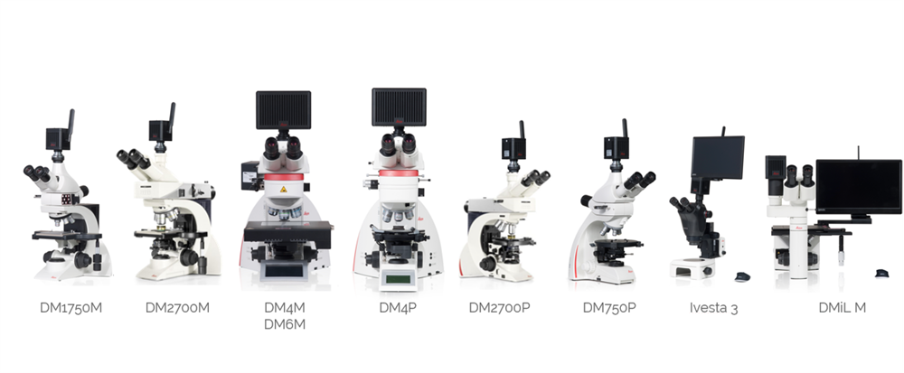 资料学院、地质地矿学等显微尝试讲授场景