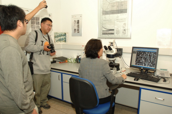 高倍显微镜下观察到的金属切割面的情况