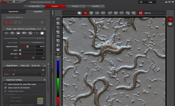 LAS AF利用于明场图像
