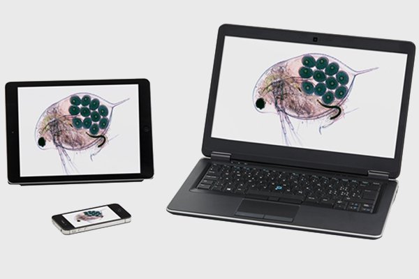 �ɹ�����ѧ��ͬʱ�Ӽ�����ͷ