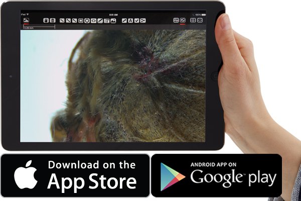 ��һ��ѧ����������� Leica AirLab App