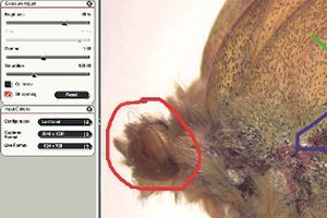 PC ���� MAC������������