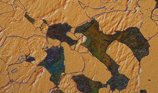 通过倾斜光能够观察更多